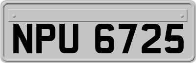 NPU6725