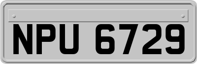 NPU6729