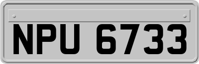 NPU6733