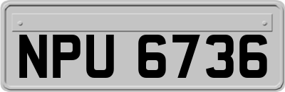 NPU6736
