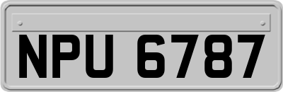 NPU6787