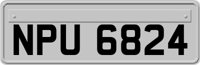NPU6824