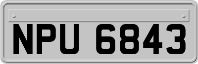 NPU6843