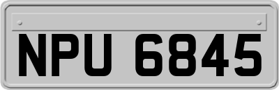 NPU6845