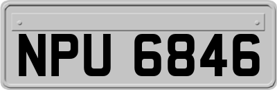 NPU6846