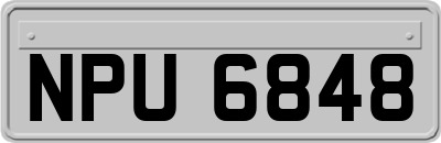 NPU6848