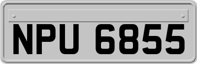 NPU6855