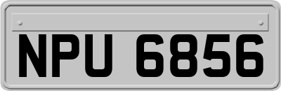 NPU6856