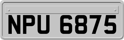 NPU6875