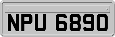 NPU6890