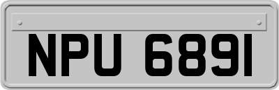 NPU6891