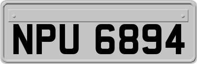 NPU6894