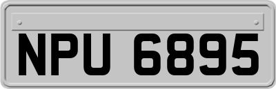 NPU6895