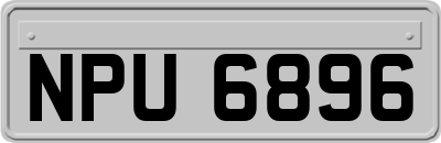 NPU6896