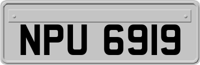 NPU6919