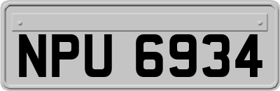 NPU6934
