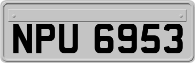 NPU6953