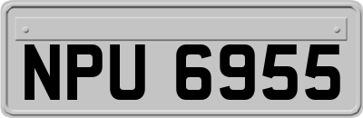 NPU6955