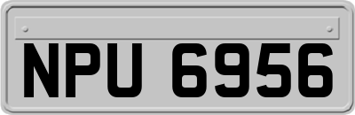 NPU6956
