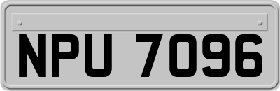 NPU7096