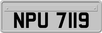 NPU7119