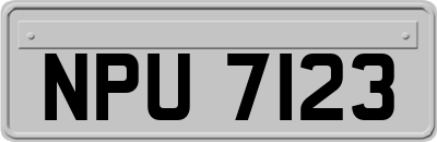 NPU7123