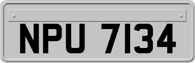 NPU7134
