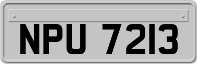 NPU7213