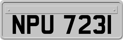 NPU7231
