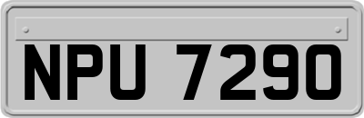 NPU7290