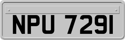 NPU7291