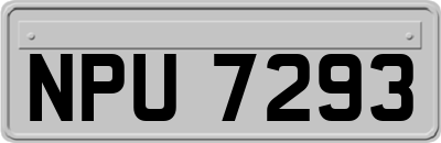 NPU7293