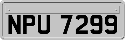 NPU7299