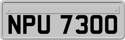 NPU7300