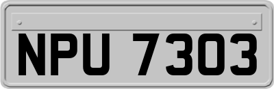 NPU7303