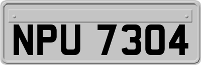 NPU7304