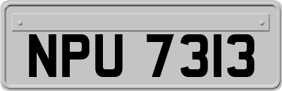 NPU7313