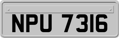 NPU7316