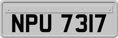 NPU7317