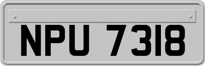NPU7318