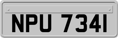 NPU7341