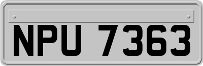 NPU7363