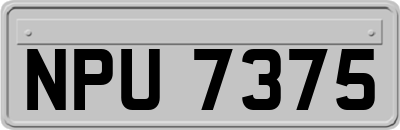 NPU7375