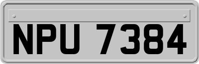 NPU7384