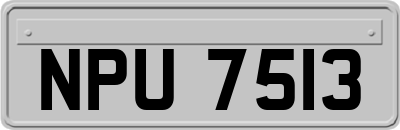 NPU7513