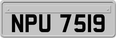 NPU7519