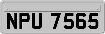 NPU7565