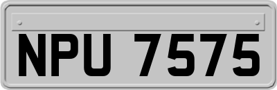 NPU7575