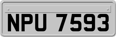 NPU7593