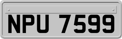 NPU7599